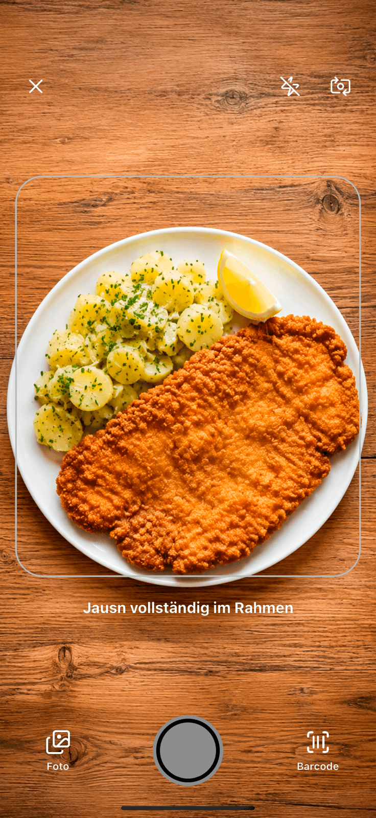 Jausn Fotoanalyse mit einem Wiener Schnitzel im Kamerarahmen